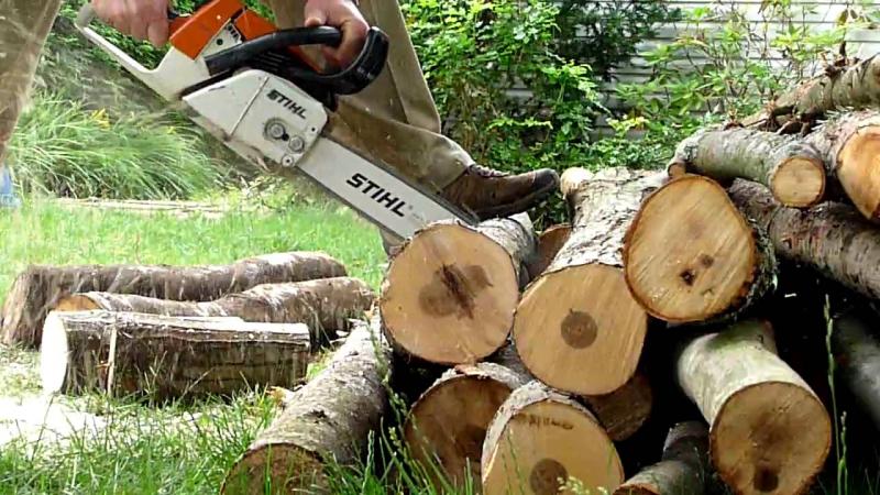  STIHL () MS:    