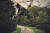 Аккумуляторная минипила, сучкорез Stihl GTA 40 SET